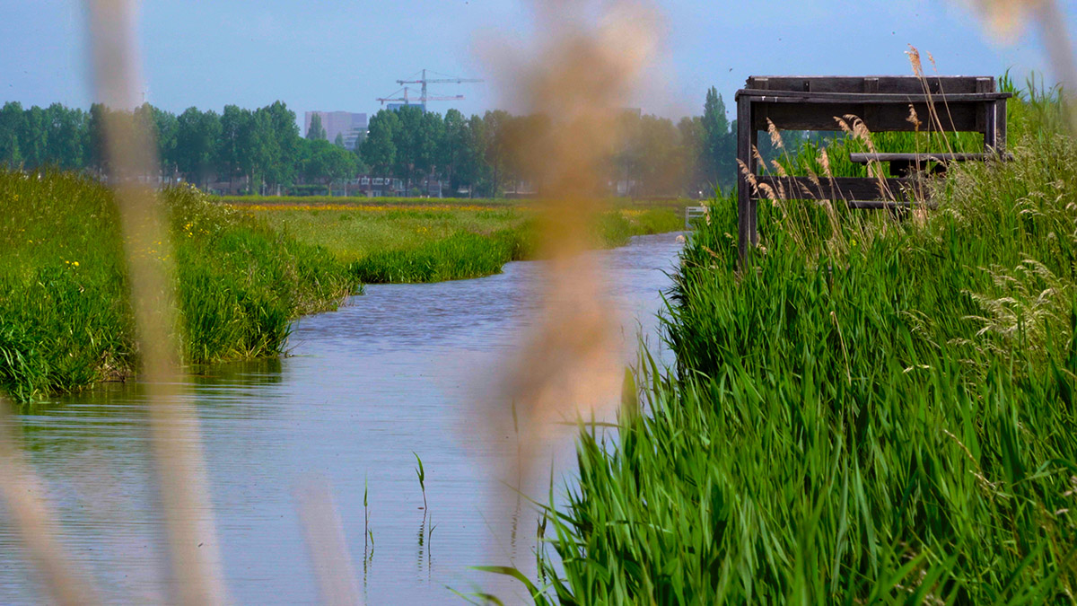 Dag van de biodiversiteit - 4k 16x9.00_01_02_18.Still004 1 (1).jpg