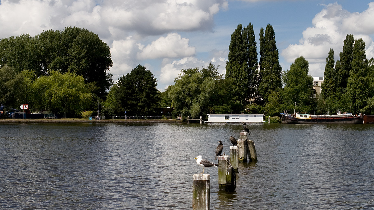Stedelijk water - Alwin Slomp.jpg