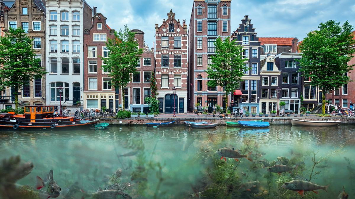 amsterdamse-grachten-baars-bot-haring.jpg