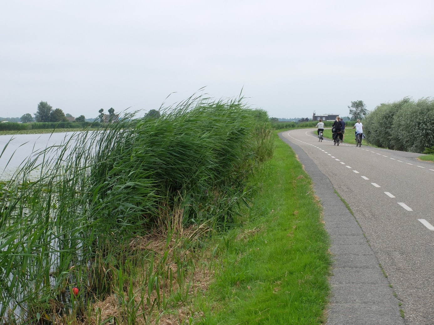 Rondehoep afbeelding dijk.jpg