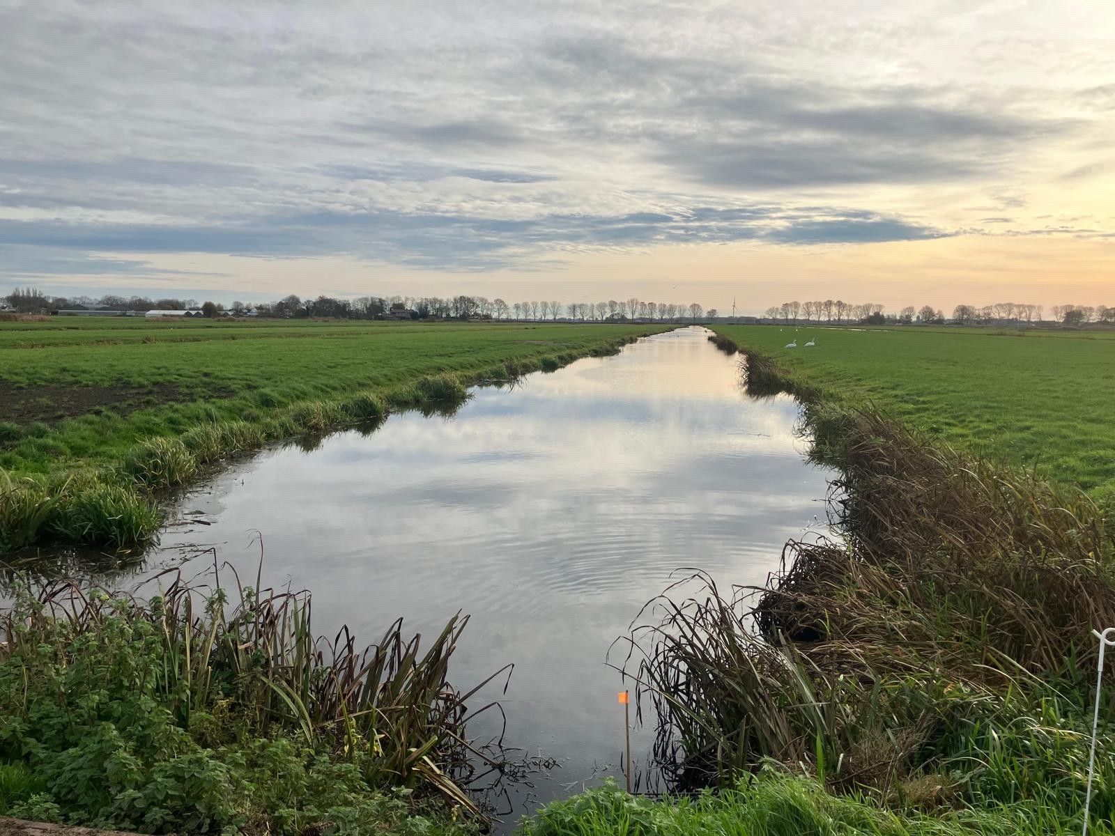 Mijdrechtse Bovenlanden Foto 3.jpeg