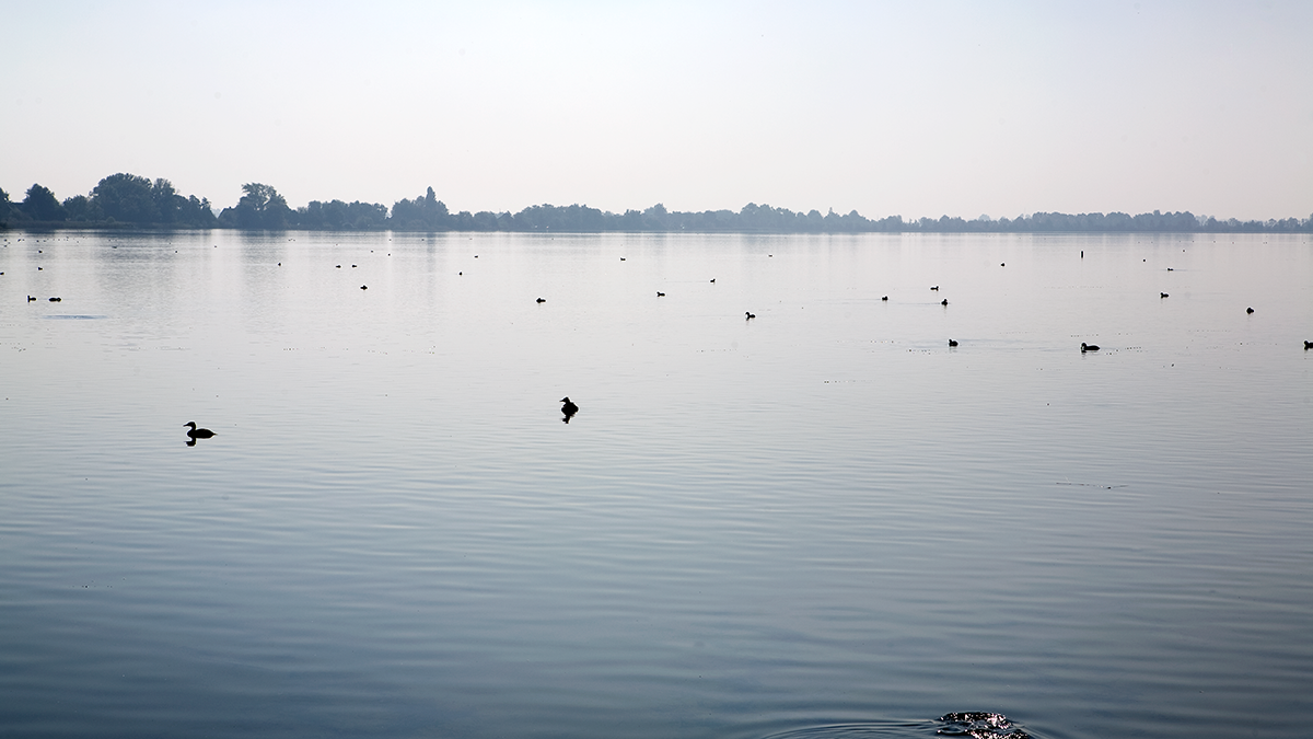 loosdrechtse-plassen-1200.png