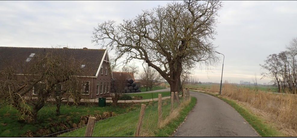 Winkeldijk Zuid.png