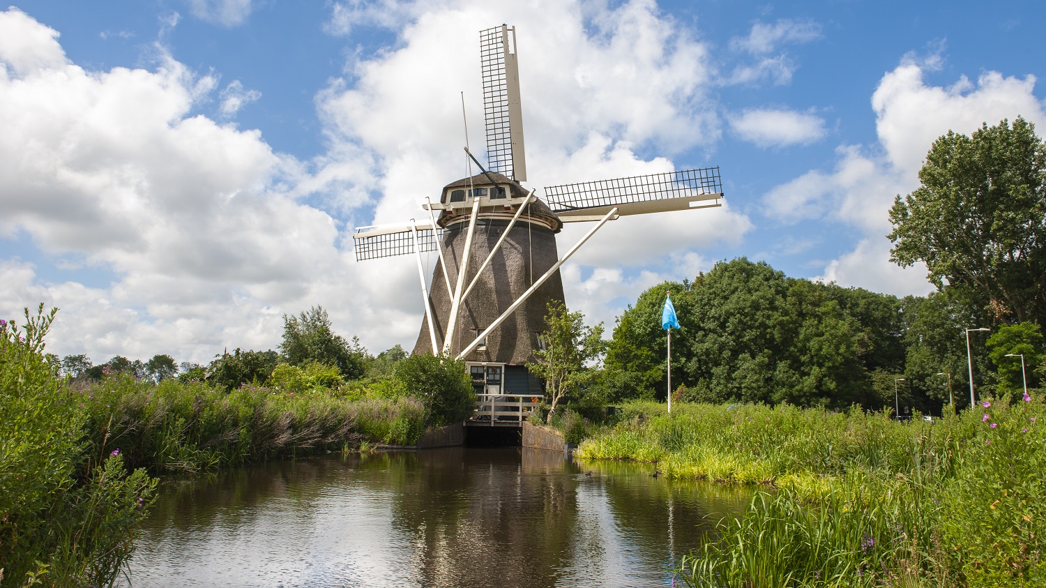 Riekermolen.jpg