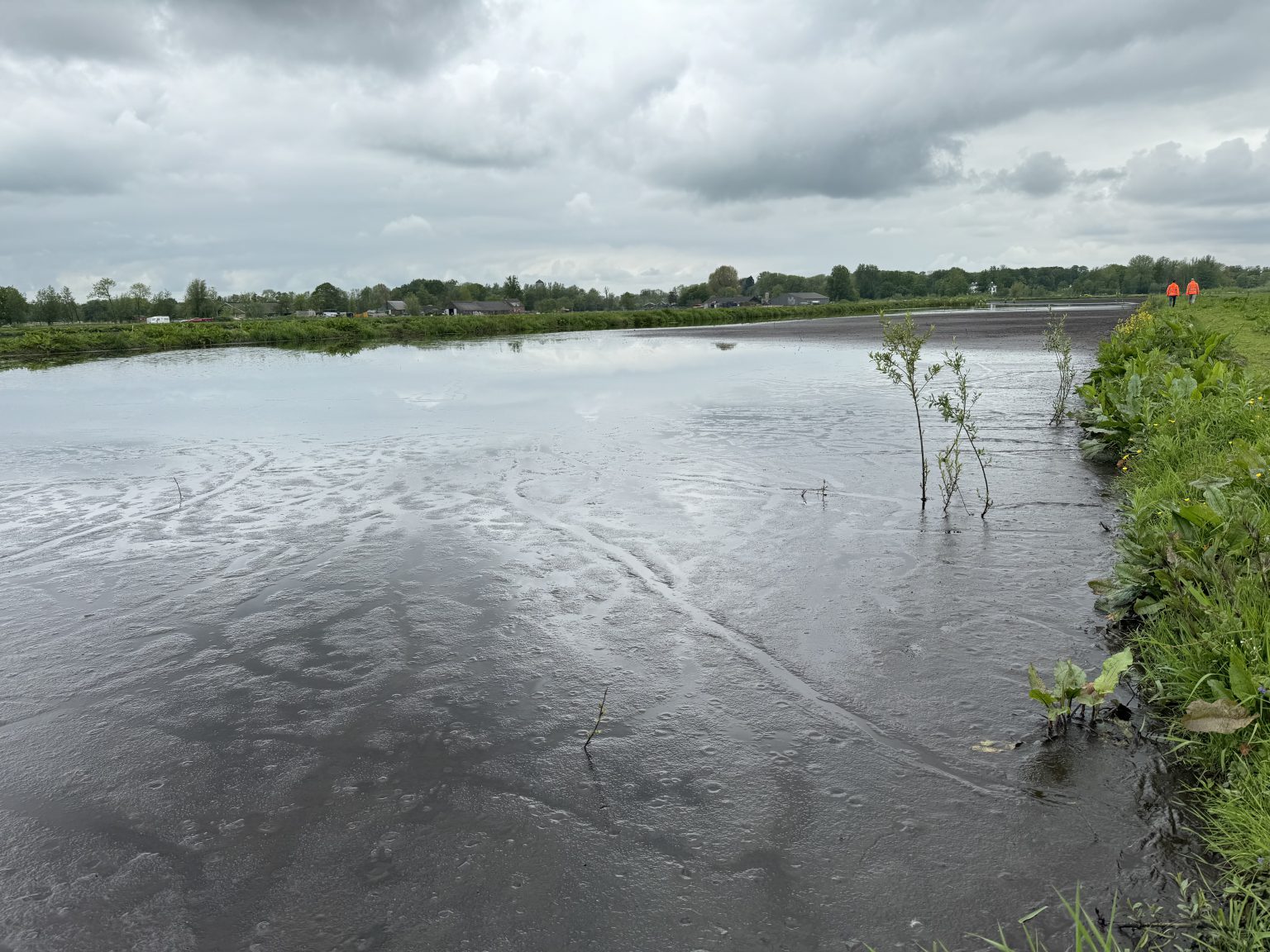 Landschap 1.jpeg