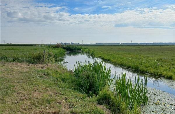 Polder Baambrugge Oostzijds landscape.png
