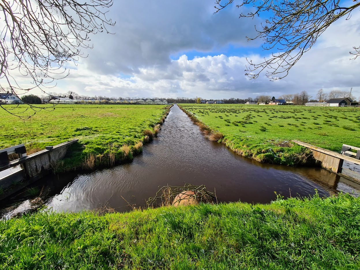 Afbeelding Noordse Buurt