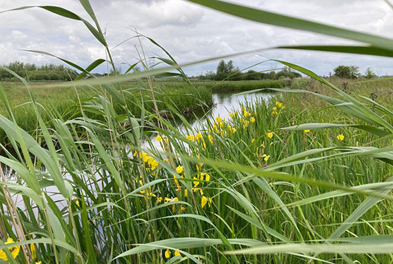 Foto wandeling.png