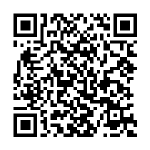 BouwApp QR-code DVB Oost en West.png
