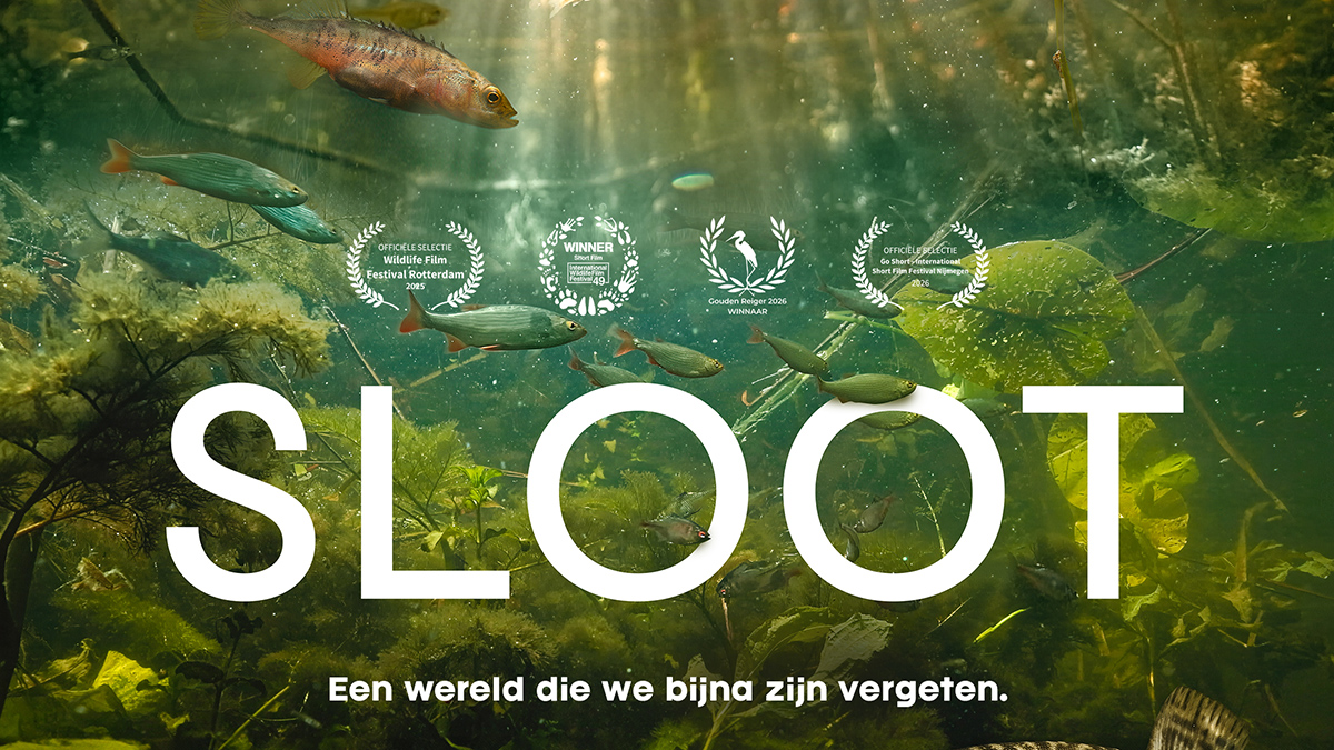 sloot film foto.jpg