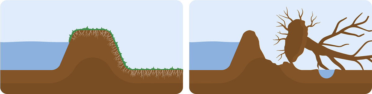 1.2 Header Dijken 1500x380 Rond-1.jpg