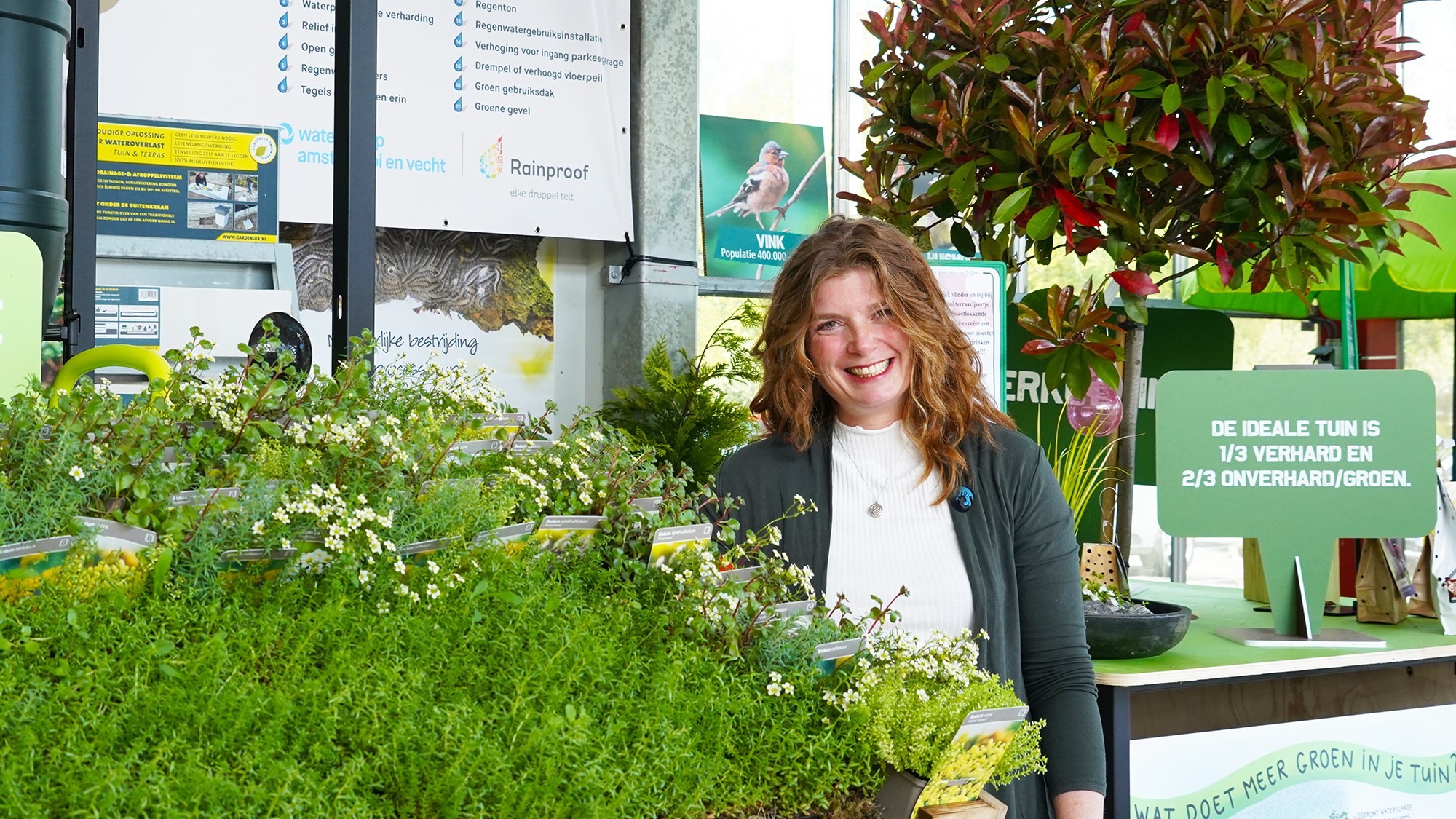 Klimaatplein_tuincentrum.jpg