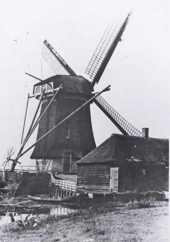 Een oude zwart-wit ansichtkaart van de Driehuizer molen.