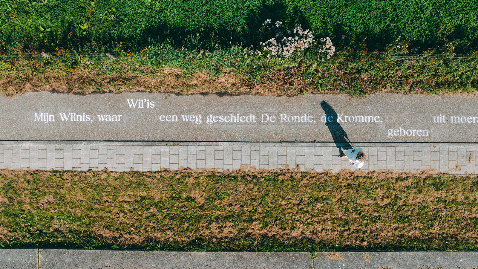 Do bij het dijkgedicht in Wilnis