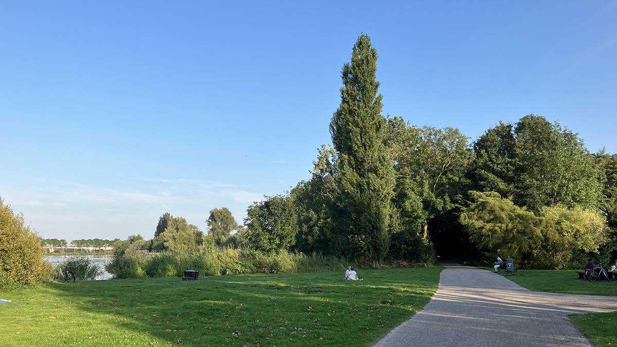 Het Flevopark in de zomer.jpg