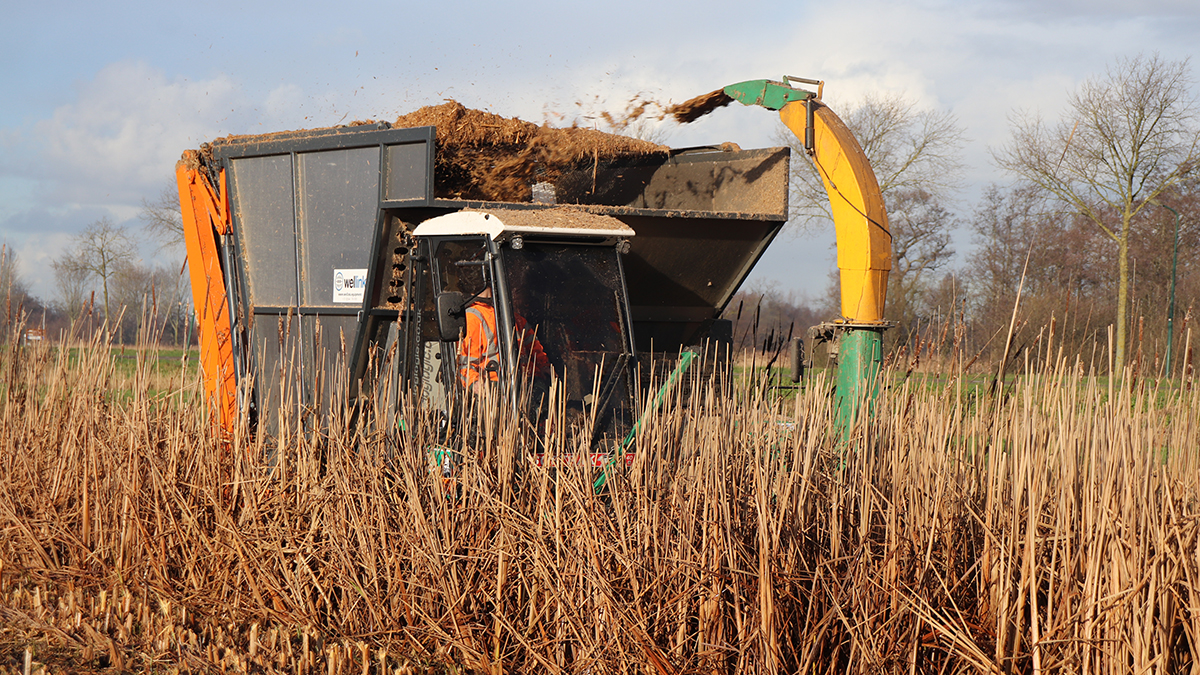 Speciale oogstmachine voor de natte landbouw.JPG