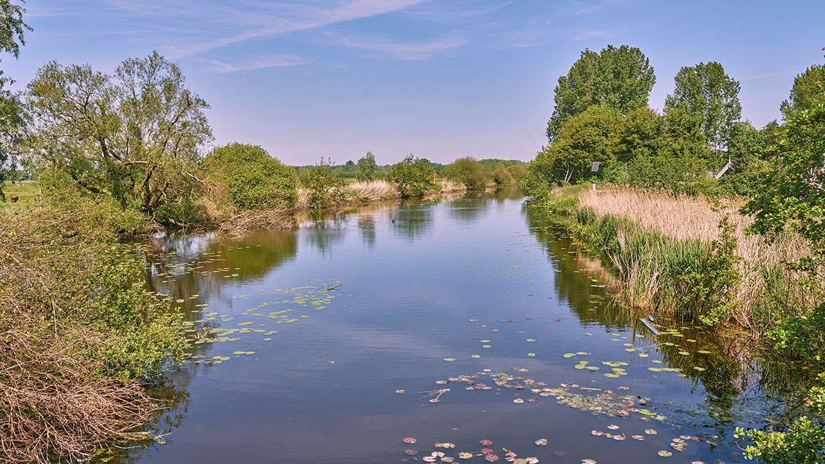 Water in het voorjaar 2025.jpg