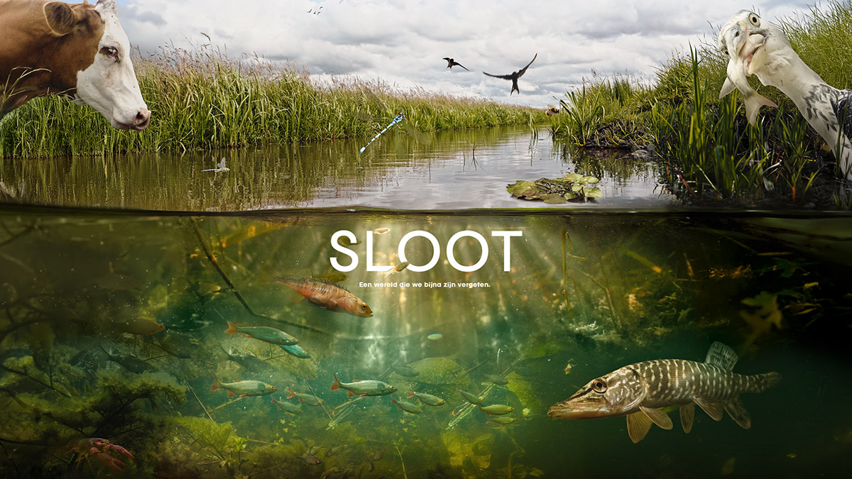 Filmposter van SLOOT.jpg