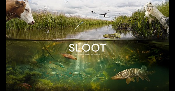 Sloot Natuurfilm SLOOT laat verborgen leven zien in Nederlandse sloot ...