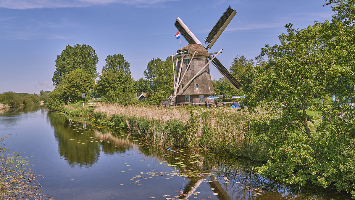 Molen 1100 Roe.jpg