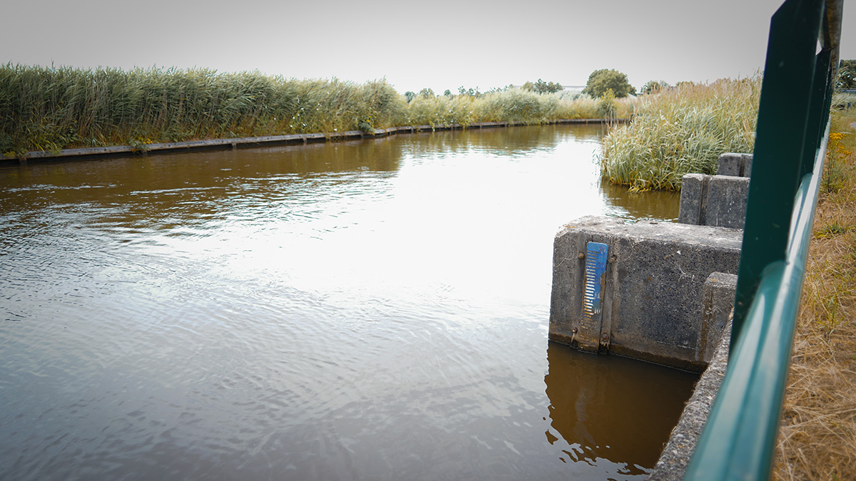 Laag waterpeil.jpg