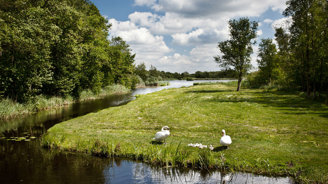 sloot horstermeerpolder.jpg