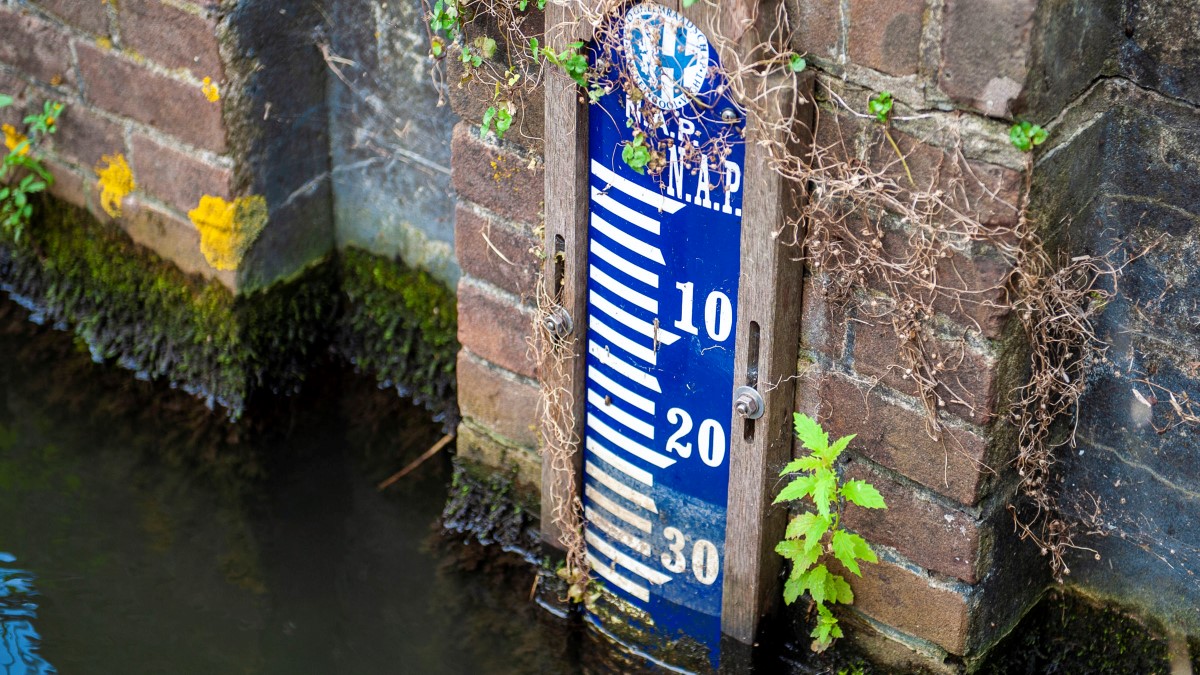 Voldoende water.jpg