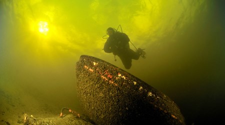 duiker-onder-water-vinkeveen
