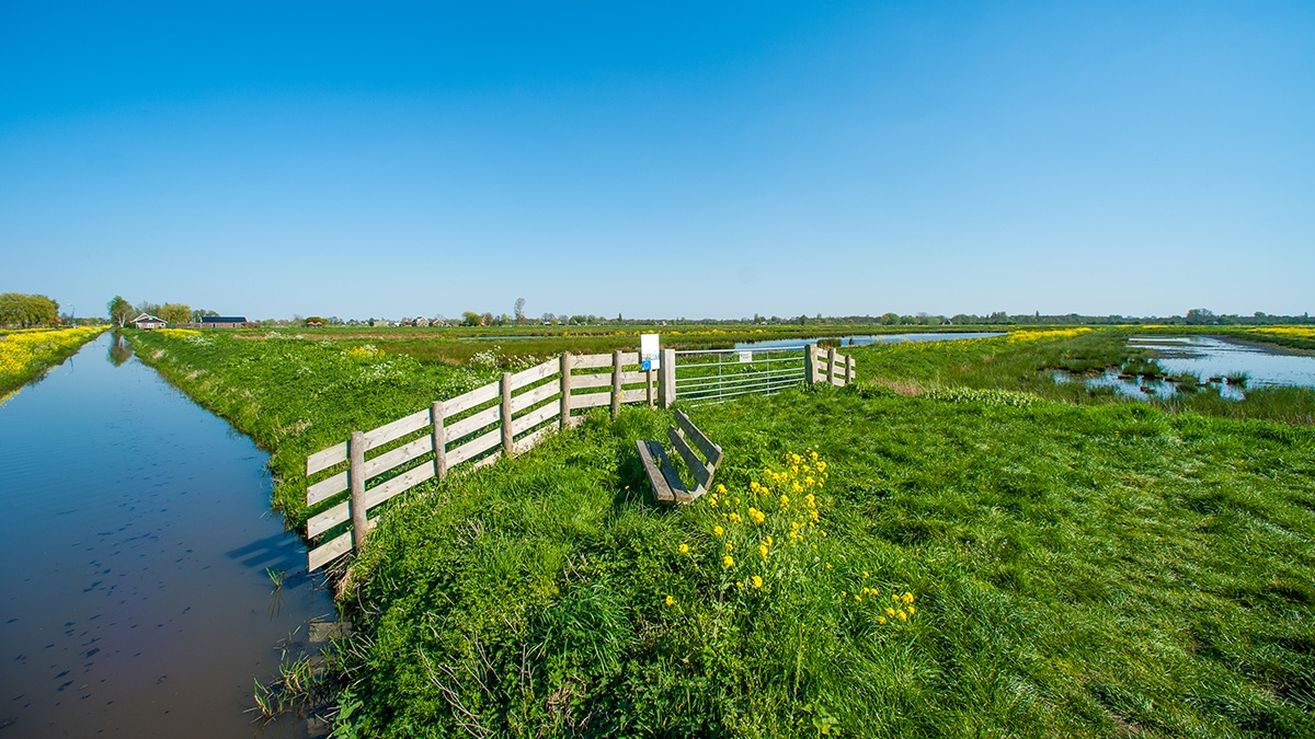 Bethunepolder.jpg