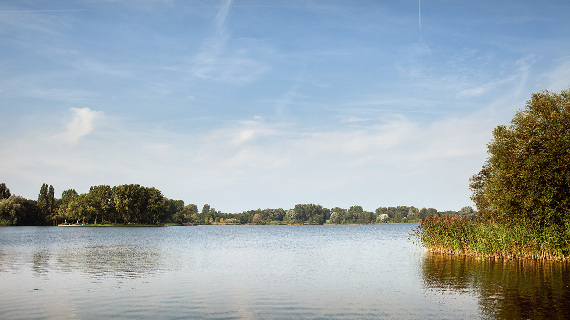 Gaasperplas - Alwin Slomp - lowres (4).jpg