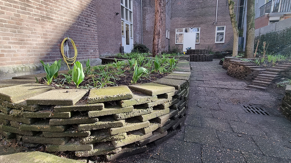 Binnentuin van de Govert Flinckstraat.jpg