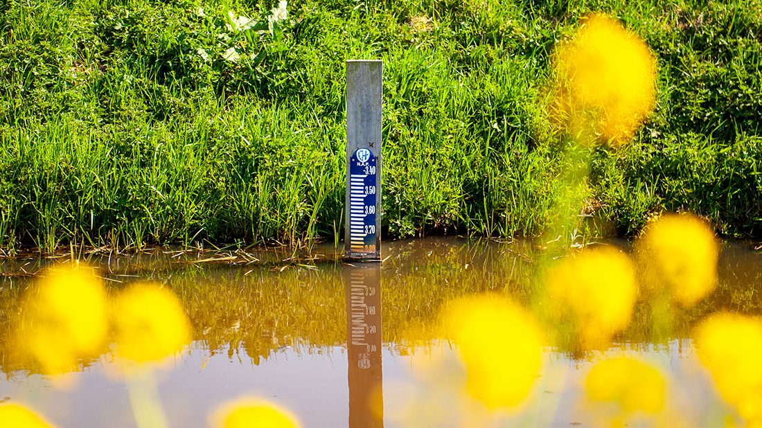 voldoende water 2023.jpg