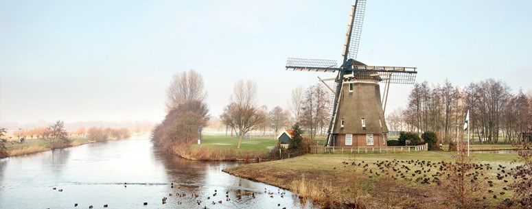 Molen 1100 Roe met eenden in het water