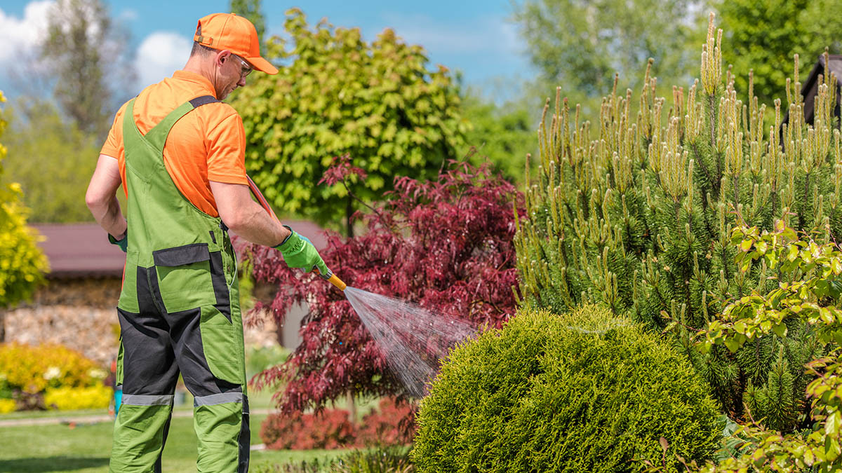 Man besproeit planten met water.jpeg